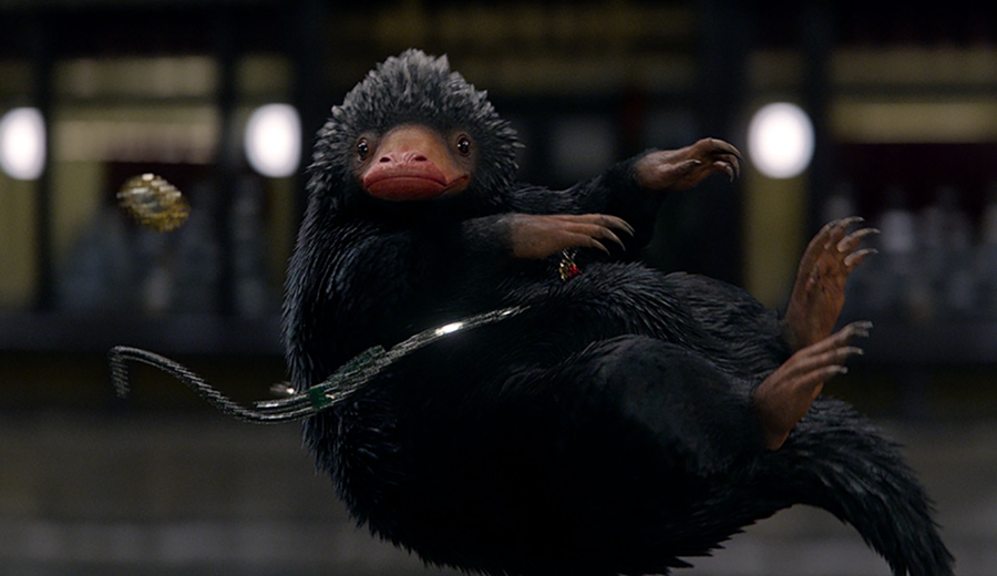 神奇动物在哪里Fantastic Beasts and Where to Find Them(2016)插图2%4K电影下载_3D影视资源_杜比视界迅雷下载