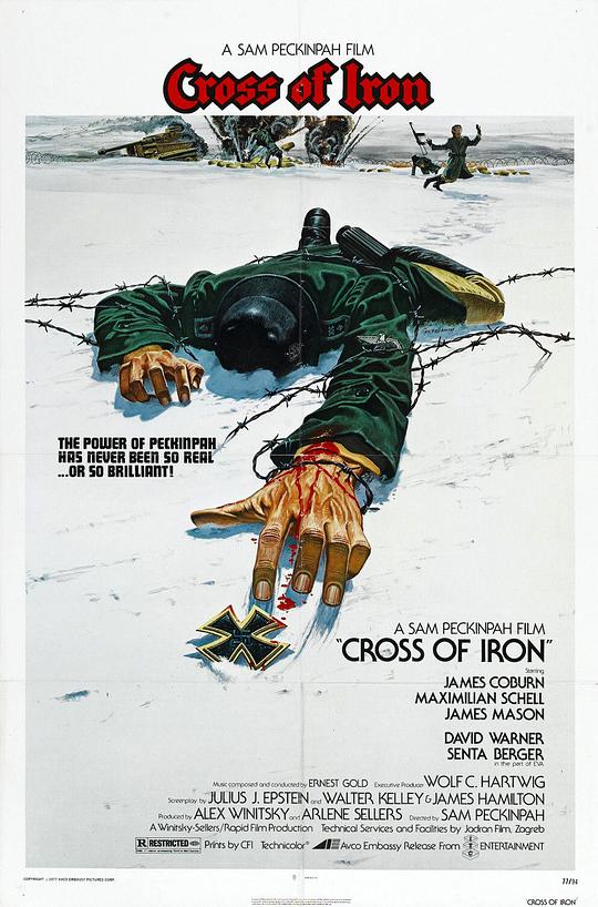 铁十字勋章Cross of Iron(1977)插图%4K电影下载_3D影视资源_杜比视界迅雷下载