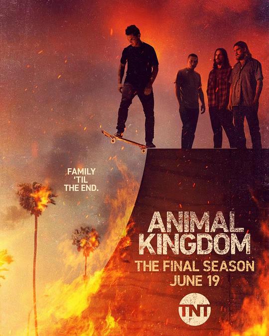 野兽家族Animal Kingdom(2016 – 2022)插图%4K电影下载_3D影视资源_杜比视界迅雷下载