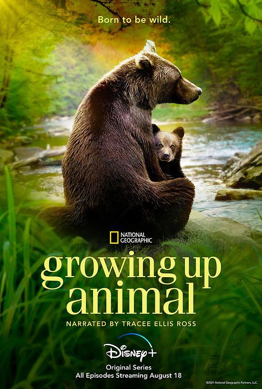 动物成长Growing Up Animal(2021)插图%4K电影下载_3D影视资源_杜比视界迅雷下载