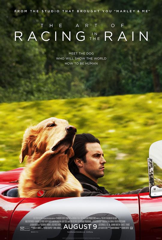 我在雨中等你The Art of Racing in the Rain(2019)插图%4K电影下载_3D影视资源_杜比视界迅雷下载