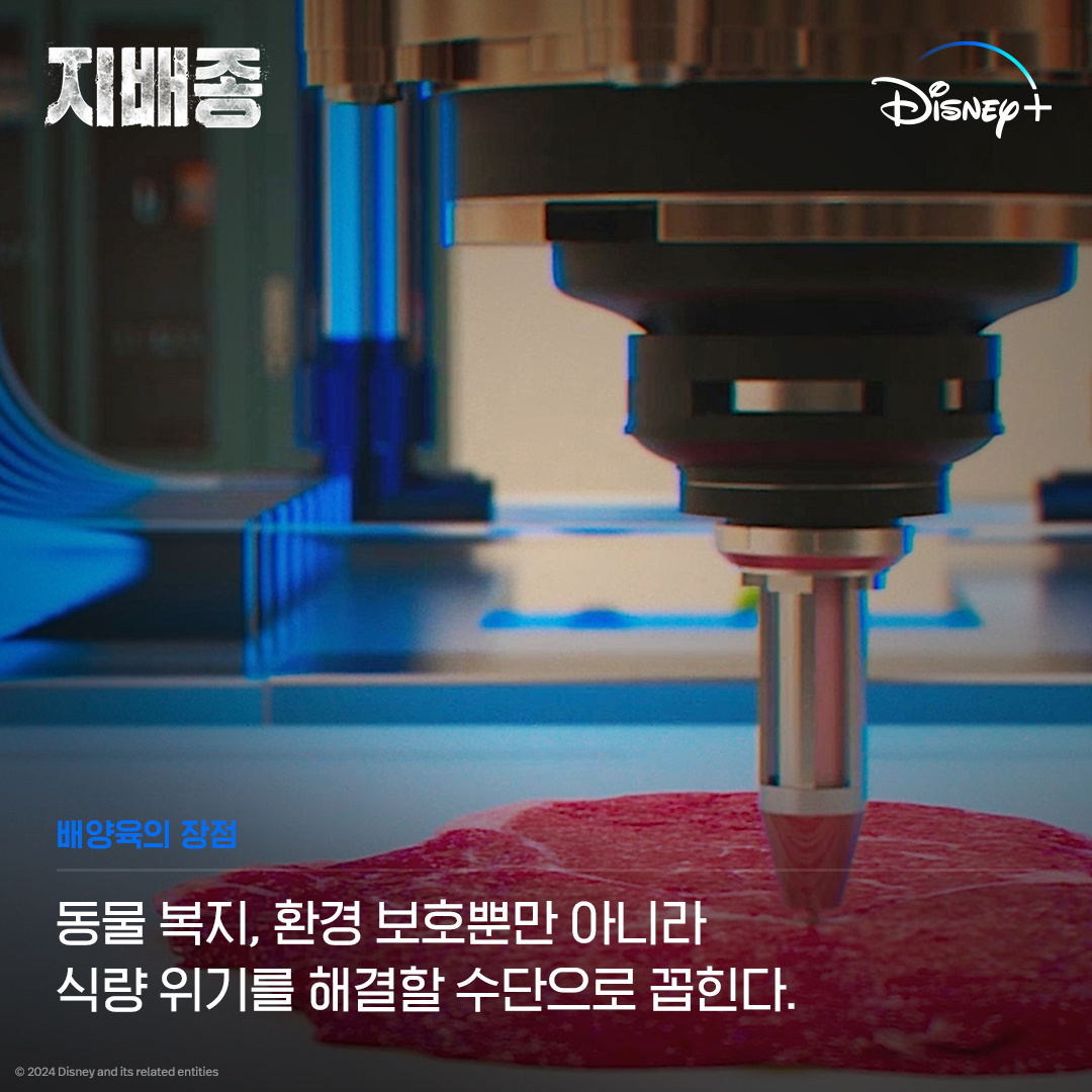 支配物种Jibaejong(2024)插图2%4K电影下载_3D影视资源_杜比视界迅雷下载