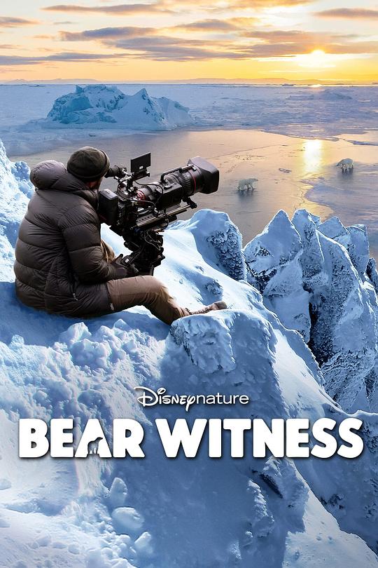 极地熊踪Bear Witness(2022)插图%4K电影下载_3D影视资源_杜比视界迅雷下载