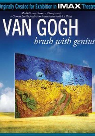 梵高：天赋之笔Moi, Van Gogh(2009)插图%4K电影下载_3D影视资源_杜比视界迅雷下载