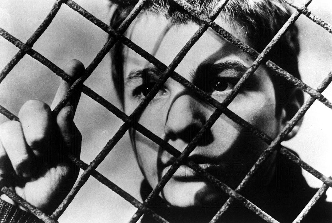 四百击The 400 Blows(1959)插图2%4K电影下载_3D影视资源_杜比视界迅雷下载
