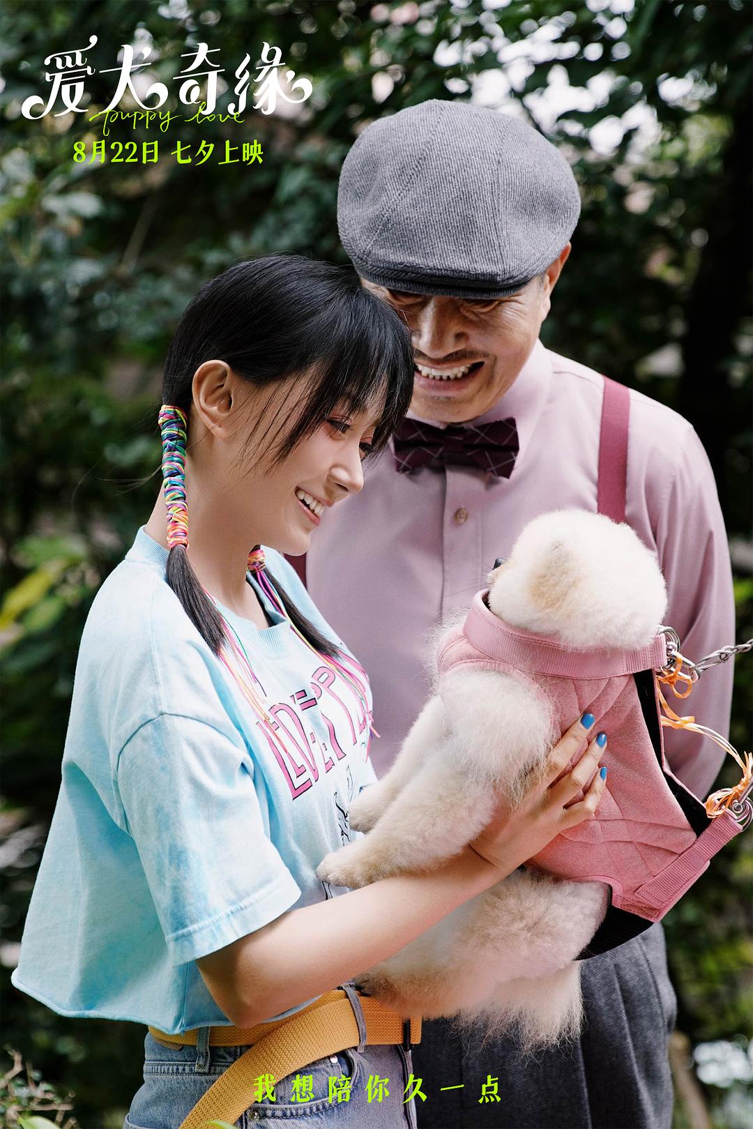爱犬奇缘Ai quan qi yuan(2023)插图2%4K电影下载_3D影视资源_杜比视界迅雷下载