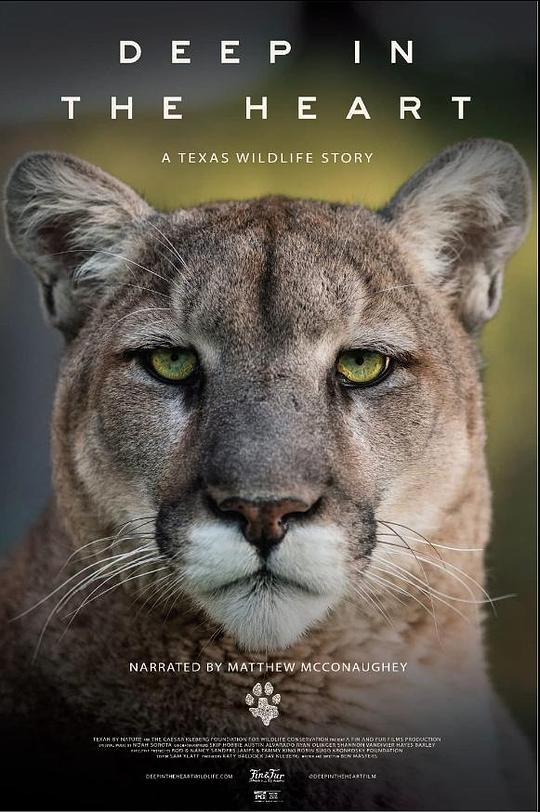 内心深处：德克萨斯野生动物的故事Deep in the Heart: A Texas Wildlife Story(2022)插图%4K电影下载_3D影视资源_杜比视界迅雷下载