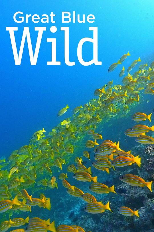 无垠的狂野蓝海Great Blue Wild(2015 – 2020)插图%4K电影下载_3D影视资源_杜比视界迅雷下载