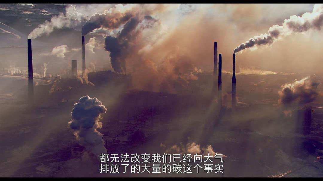 亲吻地面Kiss the Ground(2020)插图2%4K电影下载_3D影视资源_杜比视界迅雷下载