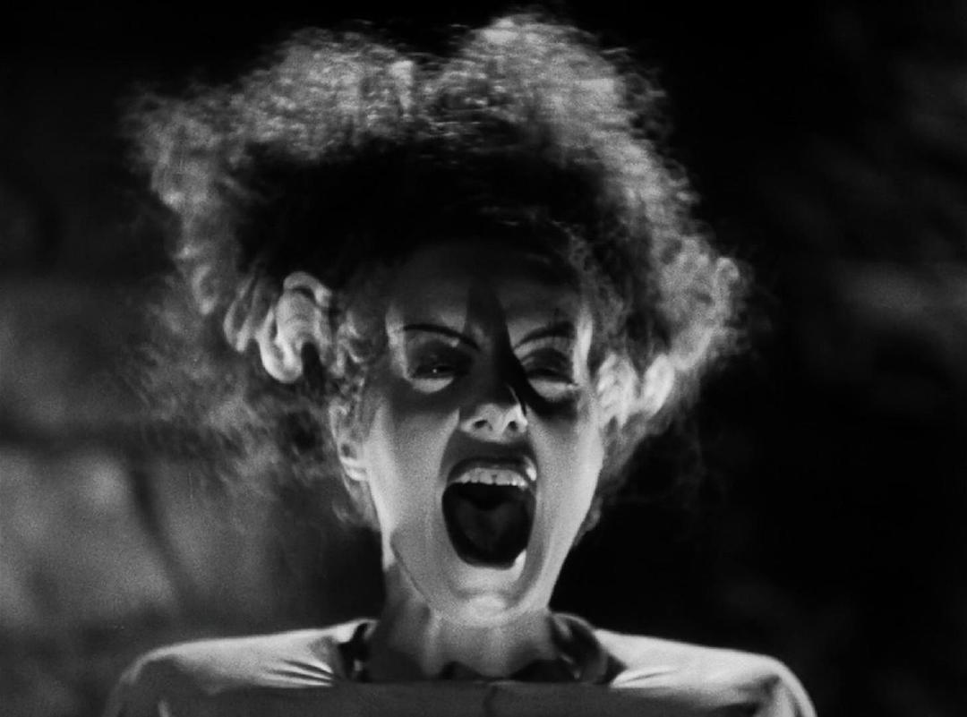 科学怪人的新娘Bride of Frankenstein(1935)插图2%4K电影下载_3D影视资源_杜比视界迅雷下载
