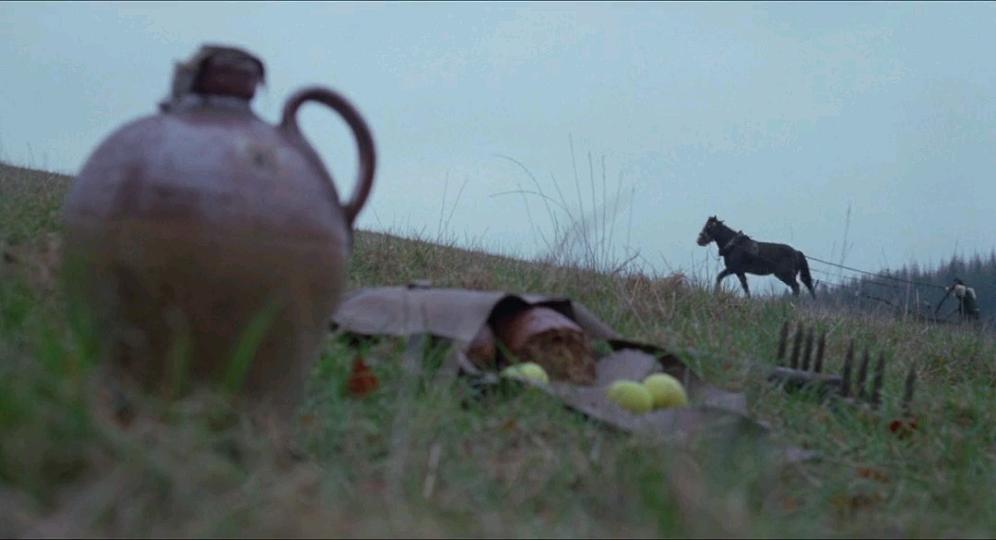 撒旦之鸦The Blood on Satan’s Claw(1971)插图2%4K电影下载_3D影视资源_杜比视界迅雷下载