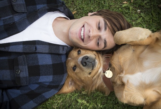一条狗的使命A Dog’s Purpose(2017)插图1%4K电影下载_3D影视资源_杜比视界迅雷下载