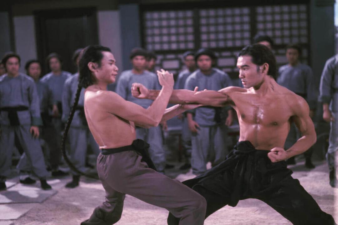 洪拳与咏春Hong quan yu yong chun(1974)插图2%4K电影下载_3D影视资源_杜比视界迅雷下载