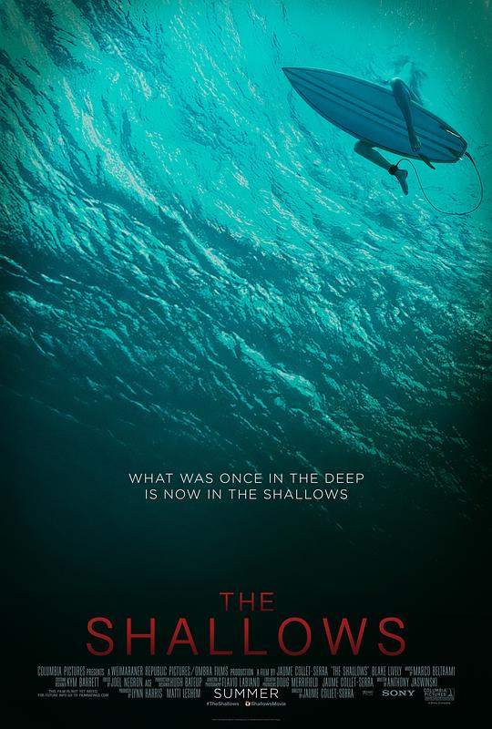 鲨滩The Shallows(2016)插图%4K电影下载_3D影视资源_杜比视界迅雷下载