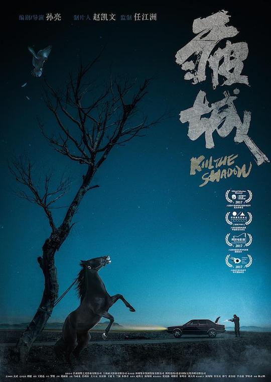 疲城Kill the Shadow(2017)插图%4K电影下载_3D影视资源_杜比视界迅雷下载