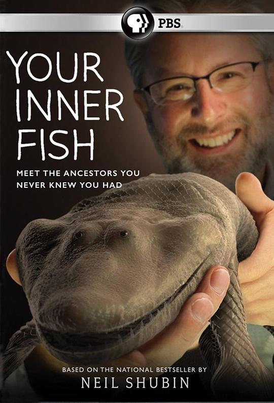 你体内的鱼Your Inner Fish(2014)插图%4K电影下载_3D影视资源_杜比视界迅雷下载