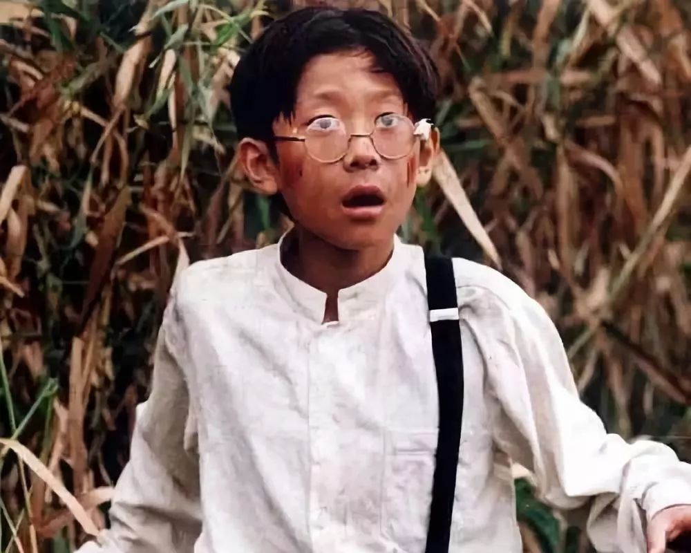 小兵张嘎Xiao Bing Zhang Ga(2004)插图1%4K电影下载_3D影视资源_杜比视界迅雷下载
