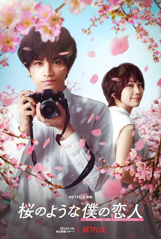 我的樱花恋人Sakura no yôna boku no koibito(2022)插图%4K电影下载_3D影视资源_杜比视界迅雷下载