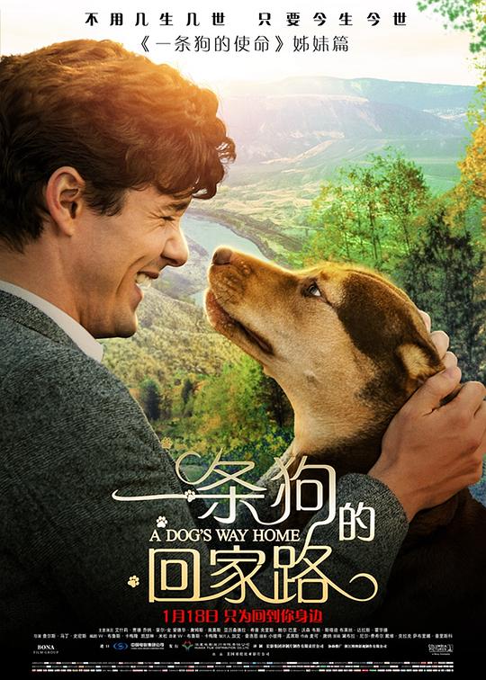 一条狗的回家路A Dog’s Way Home(2019)插图%4K电影下载_3D影视资源_杜比视界迅雷下载