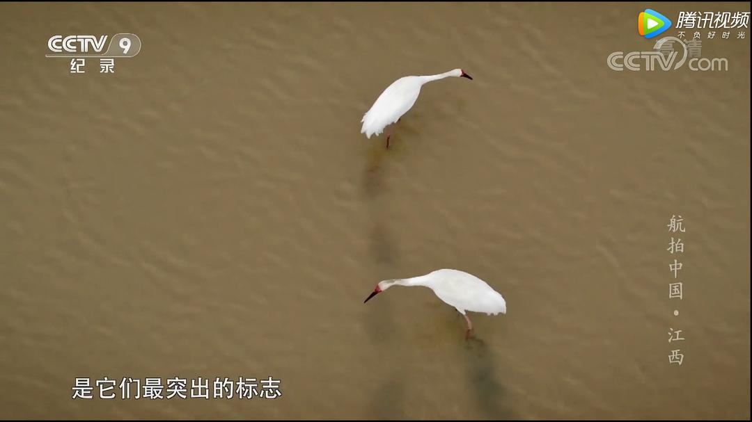 航拍中国Aerial China(2017 – 2023)插图2%4K电影下载_3D影视资源_杜比视界迅雷下载