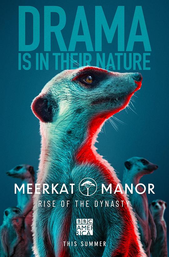 狐獴庄园：王朝的崛起Meerkat Manor: Rise of the Dynasty(2021)插图%4K电影下载_3D影视资源_杜比视界迅雷下载