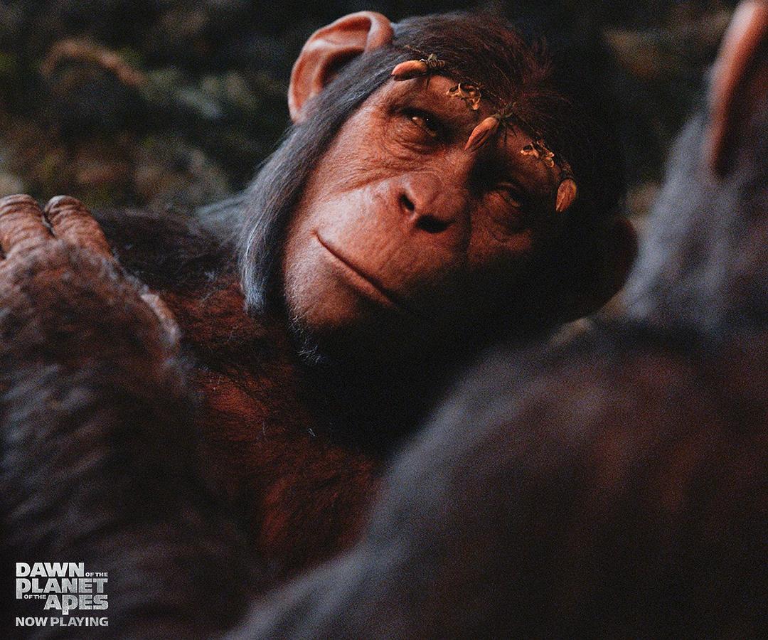 猩球崛起2：黎明之战Dawn of the Planet of the Apes(2014)插图1%4K电影下载_3D影视资源_杜比视界迅雷下载