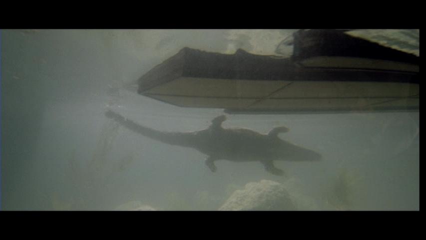 鳄鱼河历险记Il fiume del grande caimano(1979)插图1%4K电影下载_3D影视资源_杜比视界迅雷下载
