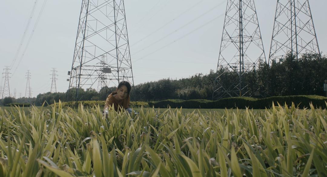 野猫Wildcat(2022)插图1%4K电影下载_3D影视资源_杜比视界迅雷下载