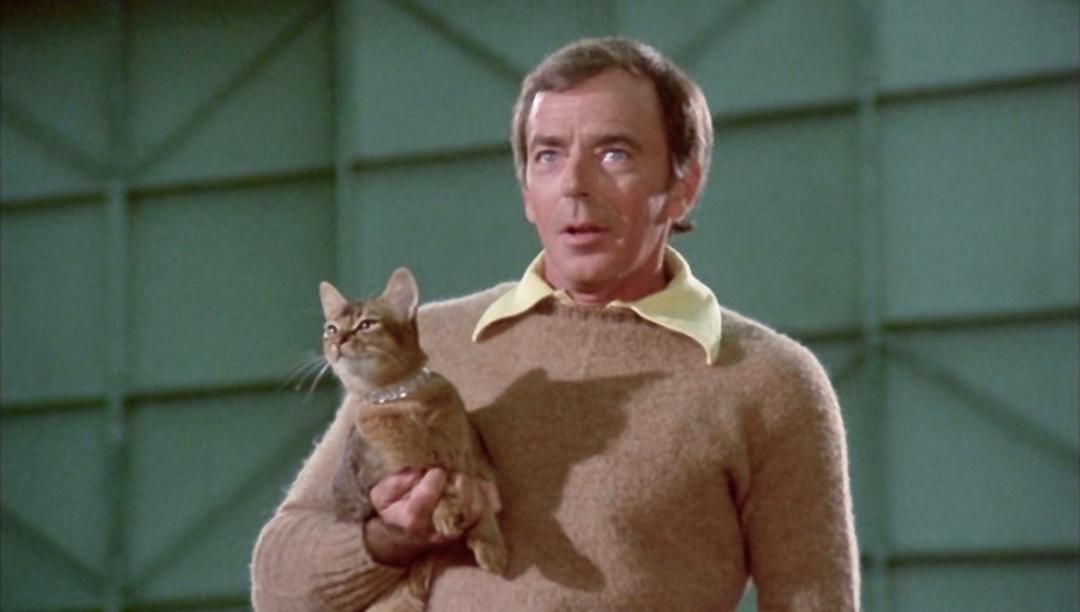 鬼马太空猫The Cat from Outer Space(1978)插图2%4K电影下载_3D影视资源_杜比视界迅雷下载
