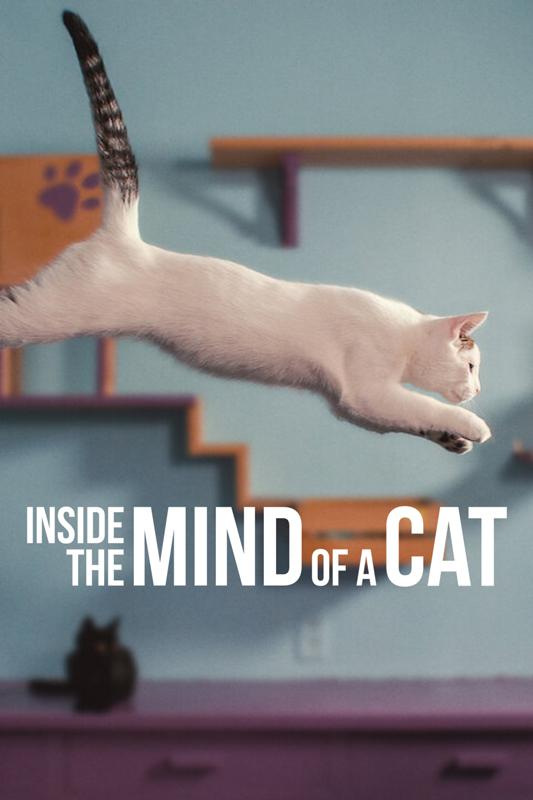 喵星人的奇思妙想Inside the Mind of a Cat(2022)插图%4K电影下载_3D影视资源_杜比视界迅雷下载