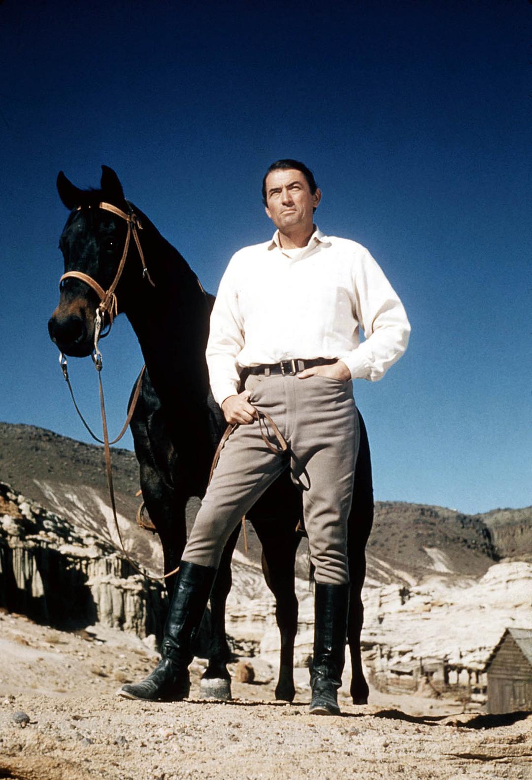 锦绣大地The Big Country(1958)插图1%4K电影下载_3D影视资源_杜比视界迅雷下载