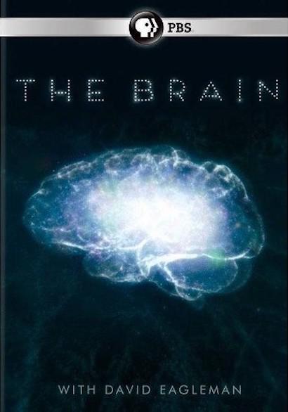 深入大脑The Brain with Dr. David Eagleman(2015)插图%4K电影下载_3D影视资源_杜比视界迅雷下载