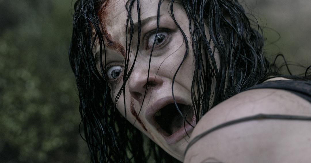 鬼玩人Evil Dead(2013)插图2%4K电影下载_3D影视资源_杜比视界迅雷下载