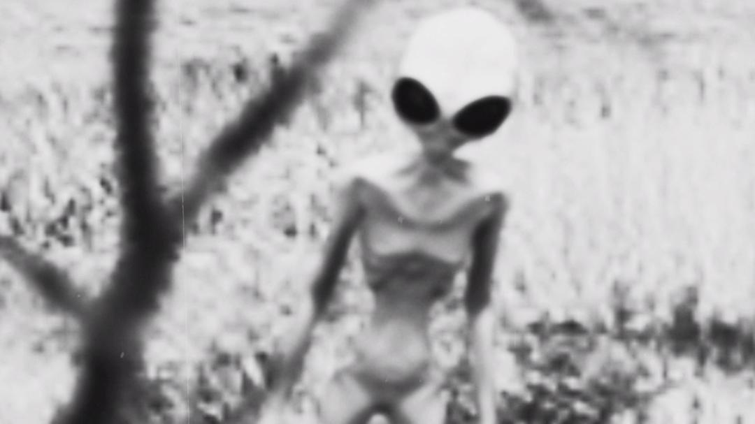 UFO档案：终极解密Top Secret UFO Projects: Declassified(2021)插图1%4K电影下载_3D影视资源_杜比视界迅雷下载