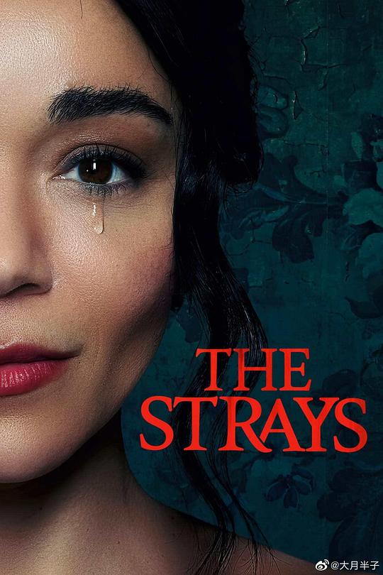 流浪者The Strays(2023)插图%4K电影下载_3D影视资源_杜比视界迅雷下载