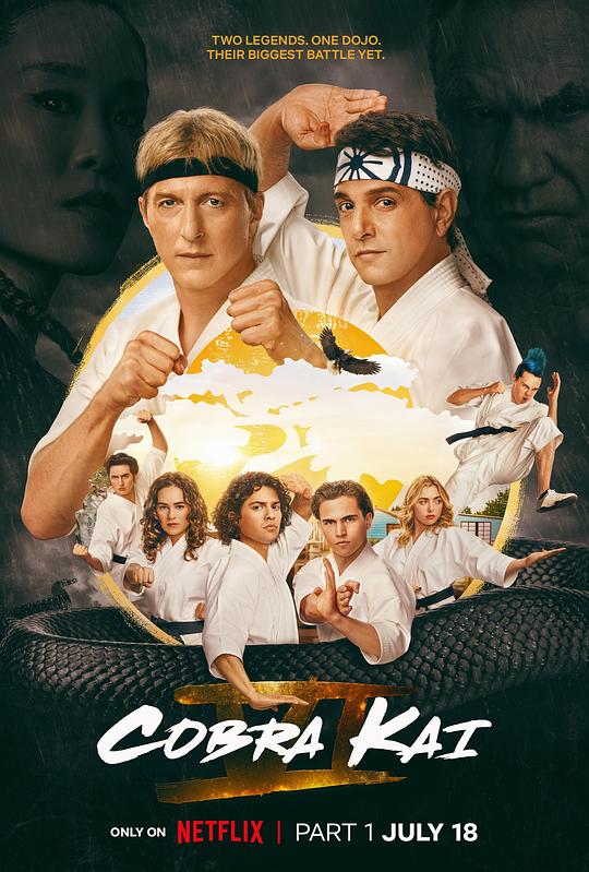 眼镜蛇Cobra Kai(2018 – 2024)插图%4K电影下载_3D影视资源_杜比视界迅雷下载