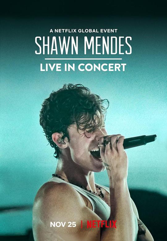 肖恩·门德斯：巡回演唱会纪实Shawn Mendes: Live in Concert(2020)插图%4K电影下载_3D影视资源_杜比视界迅雷下载