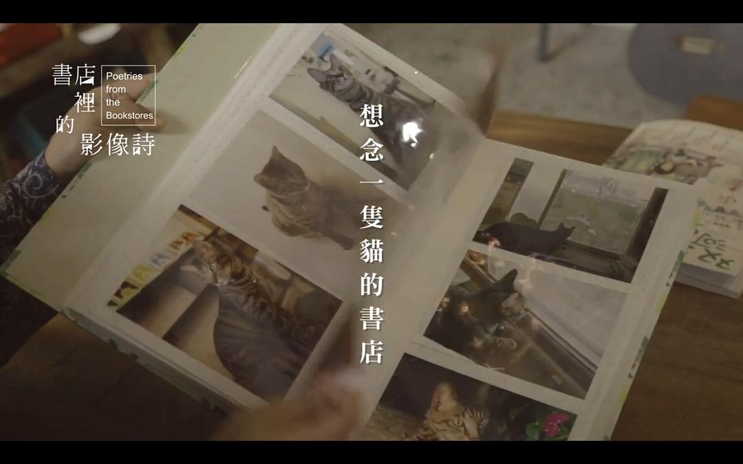 书店里的影像诗Poetries from the Bookstores(2014 – 2016)插图2%4K电影下载_3D影视资源_杜比视界迅雷下载