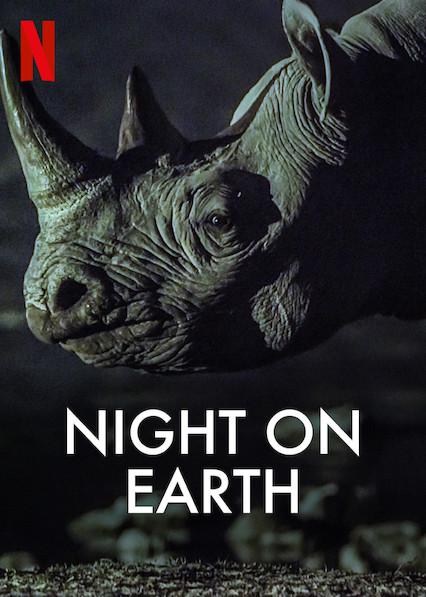 地球的夜晚Night on Earth(2020)插图%4K电影下载_3D影视资源_杜比视界迅雷下载