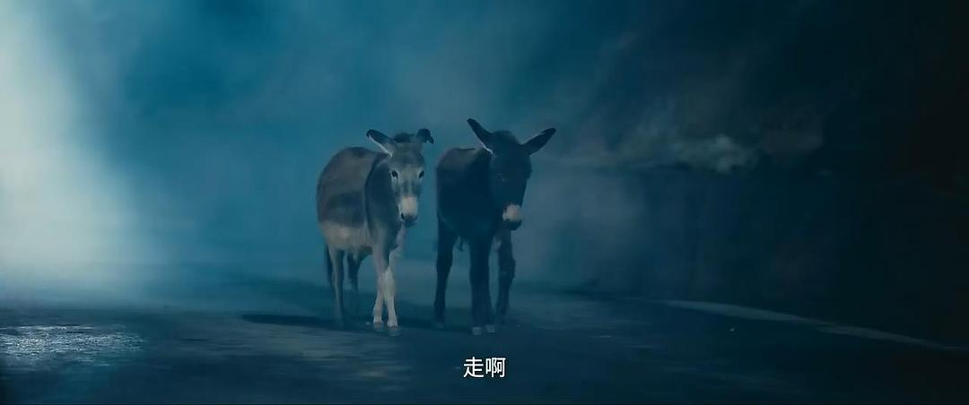 陈翔六点半之疯狂代号(2025)插图1%4K电影下载_3D影视资源_杜比视界迅雷下载