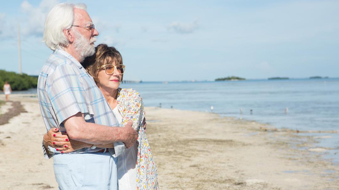 爱在记忆消逝前The Leisure Seeker(2017)插图1%4K电影下载_3D影视资源_杜比视界迅雷下载