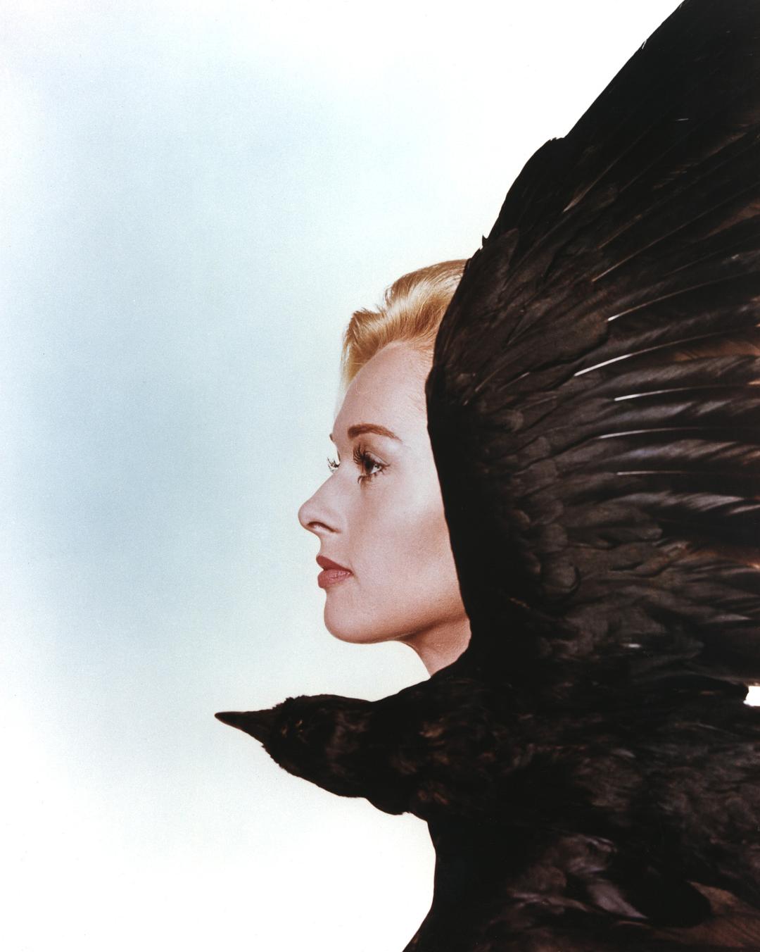 群鸟The Birds(1963)插图2%4K电影下载_3D影视资源_杜比视界迅雷下载