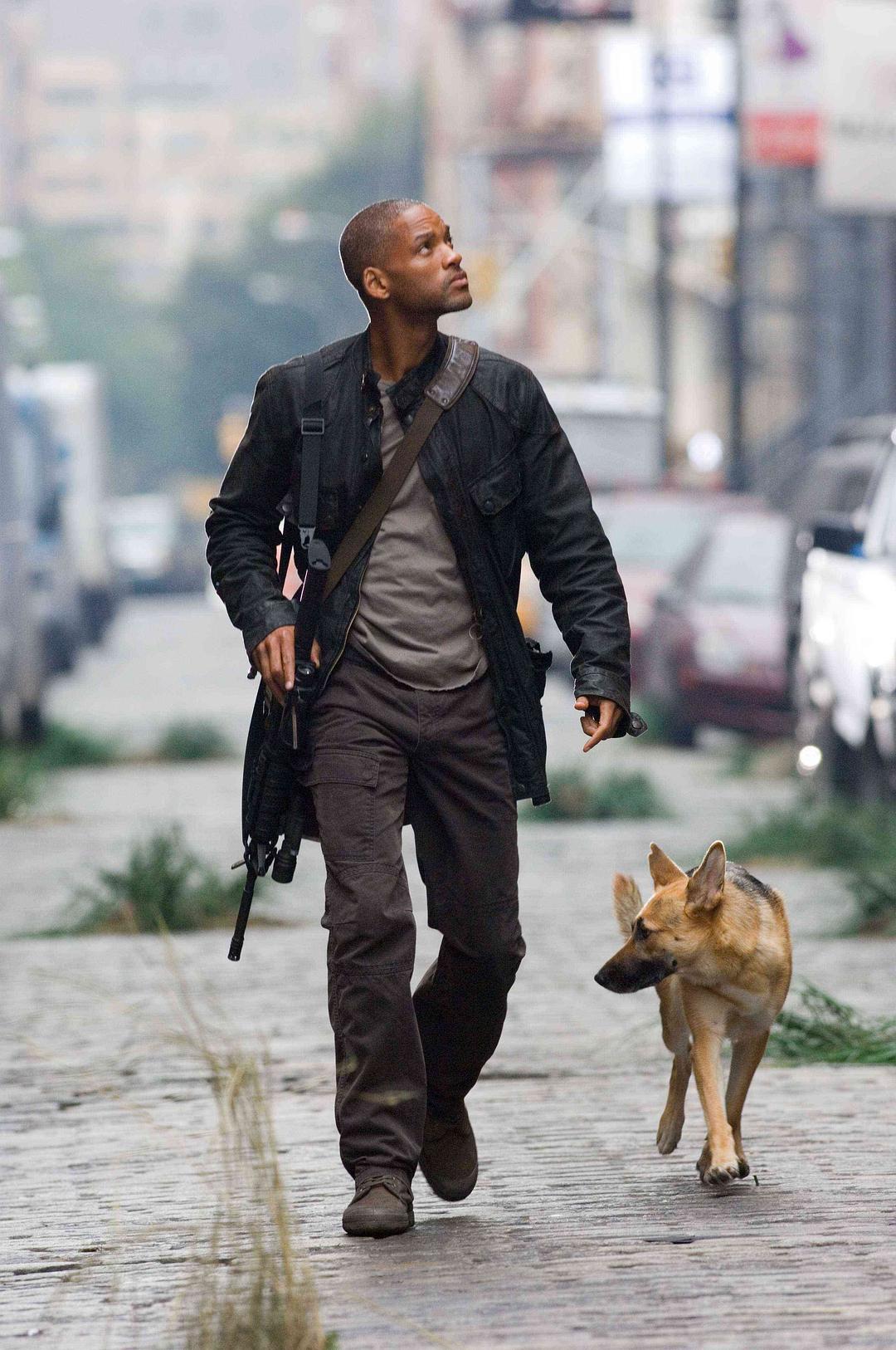 我是传奇I Am Legend(2007)插图1%4K电影下载_3D影视资源_杜比视界迅雷下载
