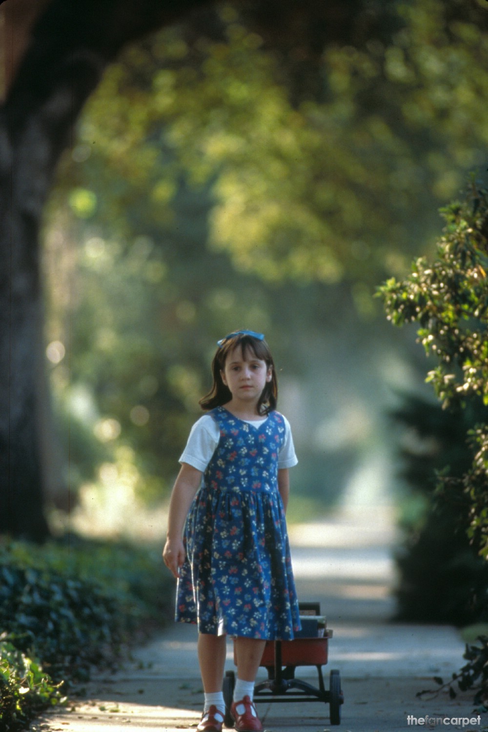 玛蒂尔达Matilda(1996)插图1%4K电影下载_3D影视资源_杜比视界迅雷下载