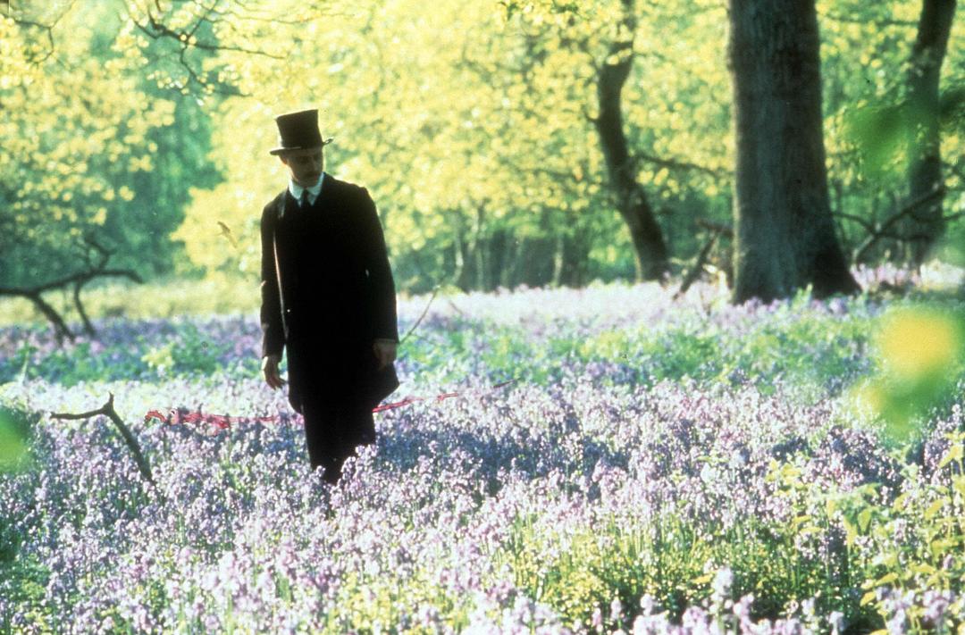 霍华德庄园Howards End(1992)插图1%4K电影下载_3D影视资源_杜比视界迅雷下载
