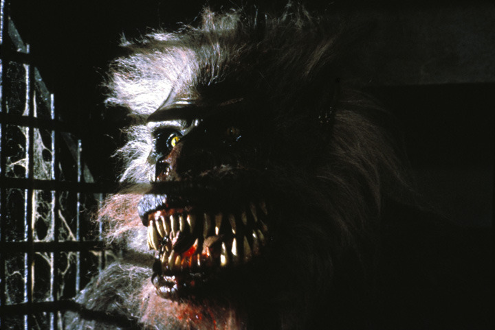 鬼作秀Creepshow(1982)插图2%4K电影下载_3D影视资源_杜比视界迅雷下载