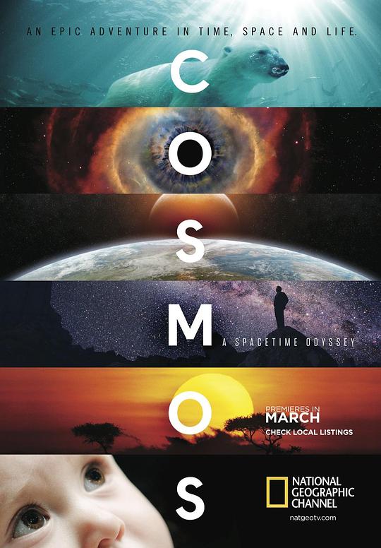 宇宙时空之旅Cosmos: A Spacetime Odyssey(2014)插图%4K电影下载_3D影视资源_杜比视界迅雷下载