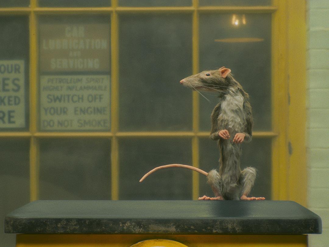 捕鼠人The Ratcatcher(2023)插图1%4K电影下载_3D影视资源_杜比视界迅雷下载