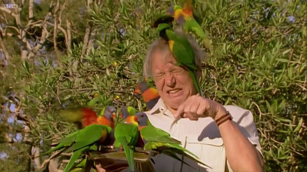 大卫爱登堡野外探索60年Attenborough: 60 Years in the Wild(2012)插图2%4K电影下载_3D影视资源_杜比视界迅雷下载