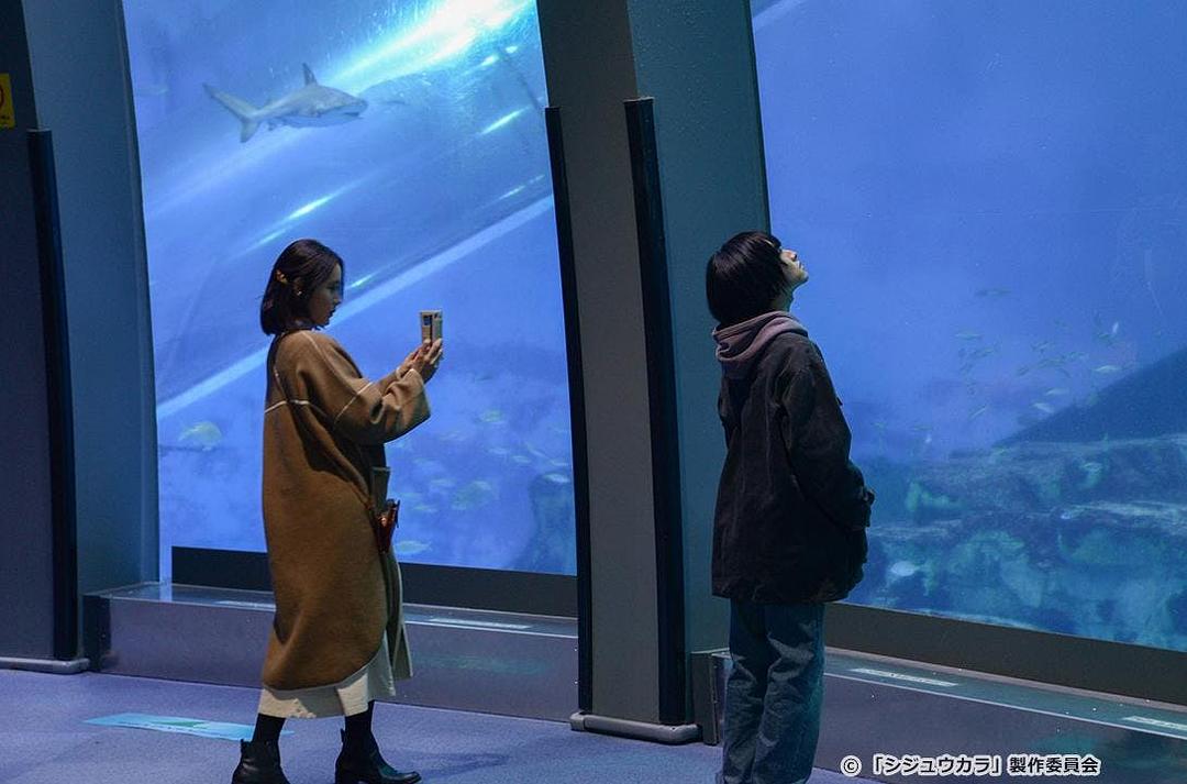 40岁开始40Sui Kai Shi(2022)插图2%4K电影下载_3D影视资源_杜比视界迅雷下载